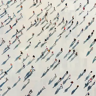 代表着法律的花语是什么