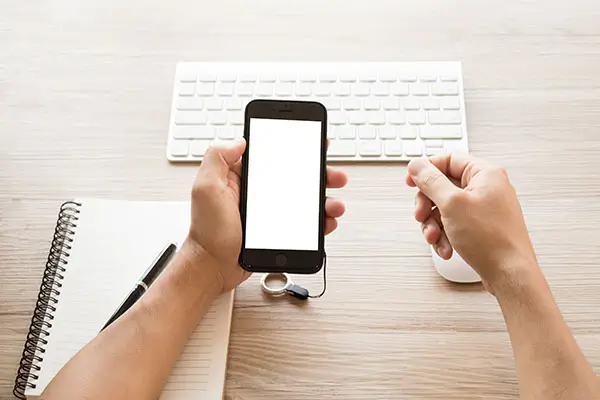 学法律政审需要什么条件